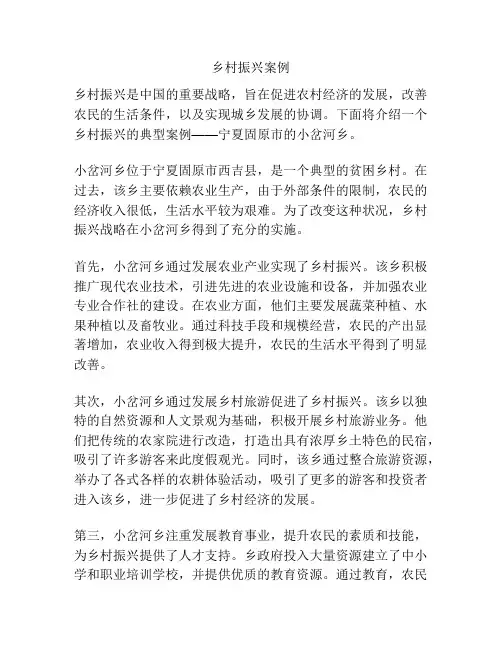乡村振兴案例