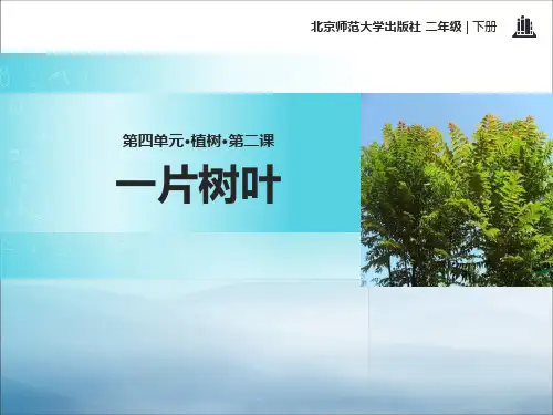 《一片树叶》PPT【优秀课件PPT】