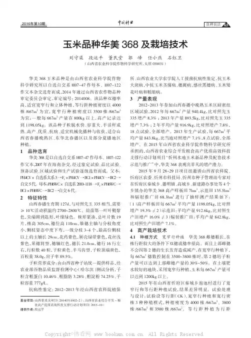 玉米品种华美368及栽培技术