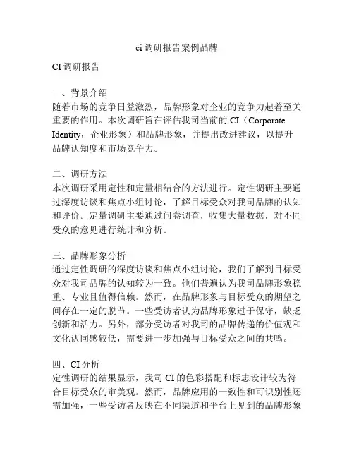 ci调研报告案例品牌