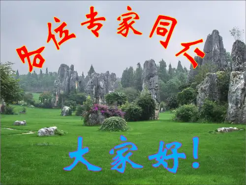 油井堵水技术(wangcl)