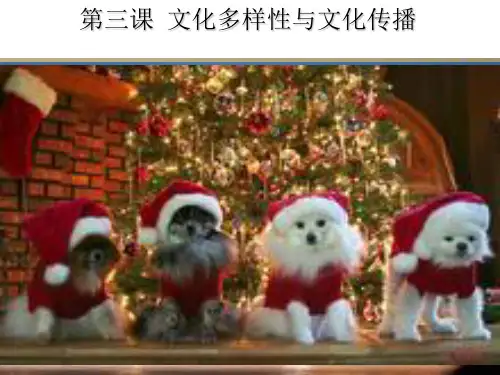 第三课文化的多样性PPT课件
