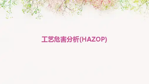 工艺危害分析(HAZOP)2024新版