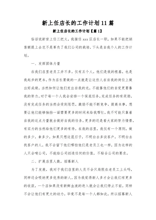 新上任店长的工作计划11篇