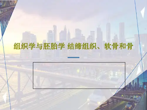 组织学与胚胎学 结缔组织、软骨和骨共61页PPT