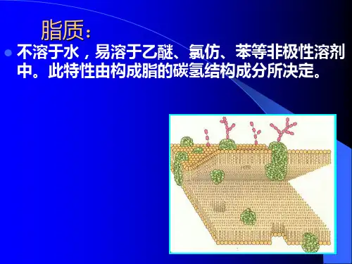 脂质和生物膜精品PPT课件