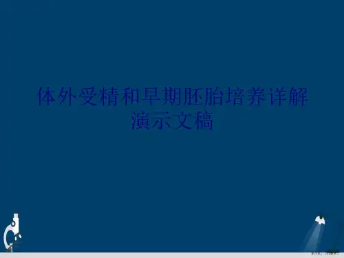 体外受精和早期胚胎培养详解演示文稿
