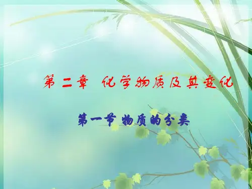 高一化学《物质的分类》 PPT课件 图文
