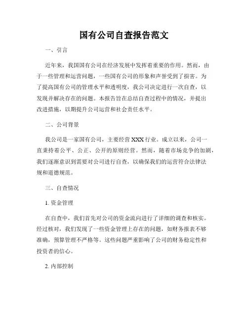 国有公司自查报告范文