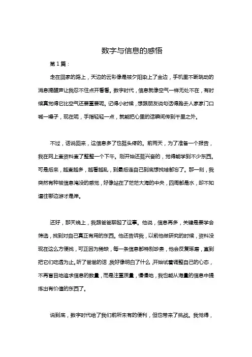 数字与信息的感悟