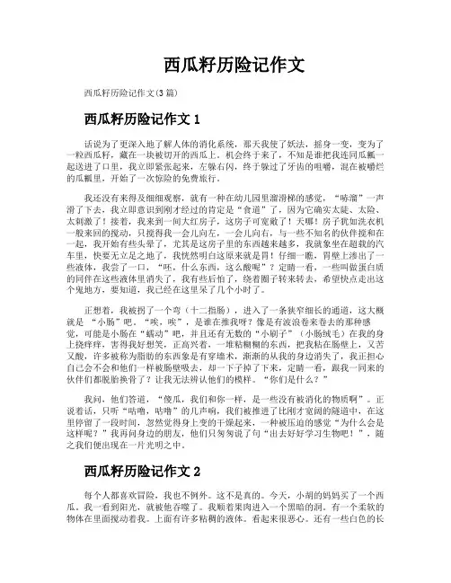 西瓜籽历险记作文