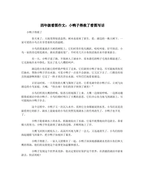 四年级看图作文：小鸭子得救了看图写话