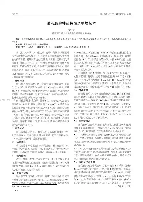 菊花脑的特征特性及栽培技术
