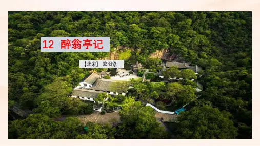 人教部编版九年级语文上册《醉翁亭记》 教学课件