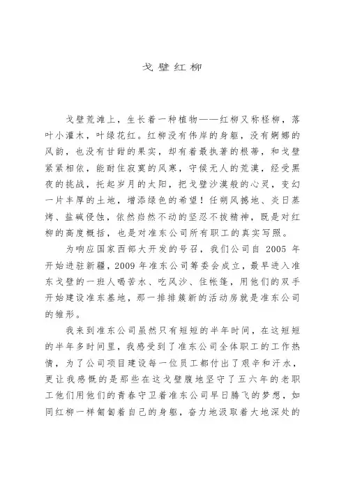 戈壁红柳,坚韧不拔