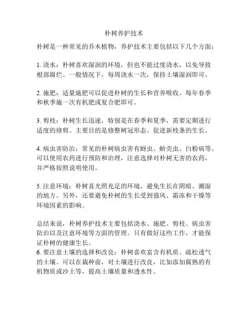 朴树养护技术