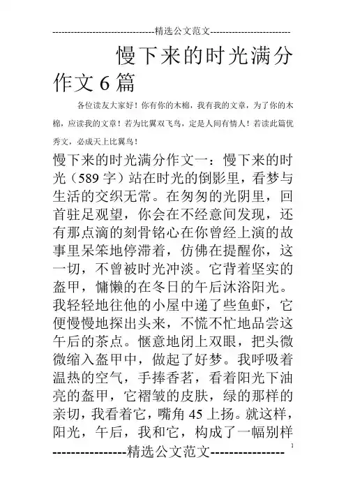 慢下来的时光满分作文6篇