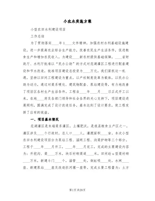 小农水实施方案(三篇)