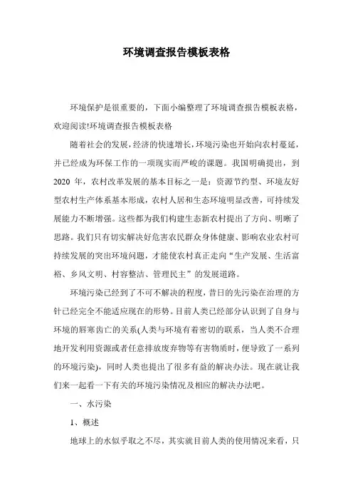环境调查报告模板表格