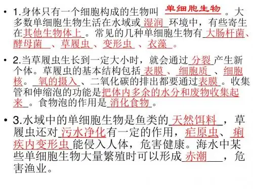 2.2.4单细胞生物