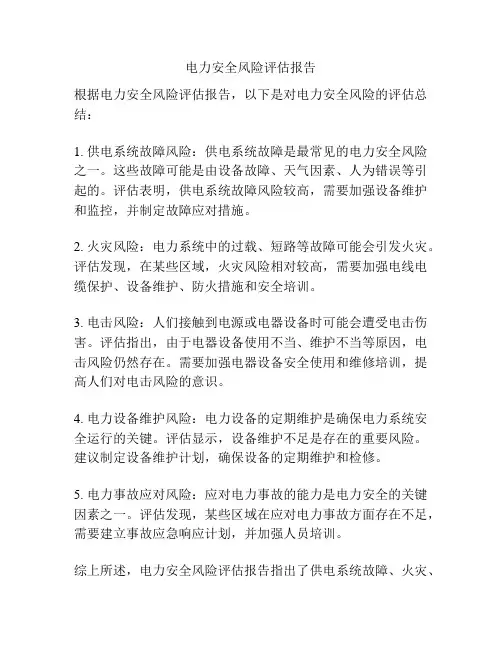 电力安全风险评估报告