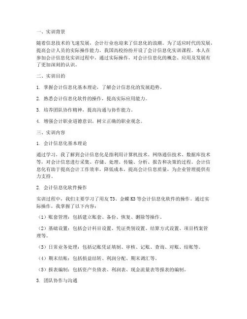 会计信息化实训报告总结