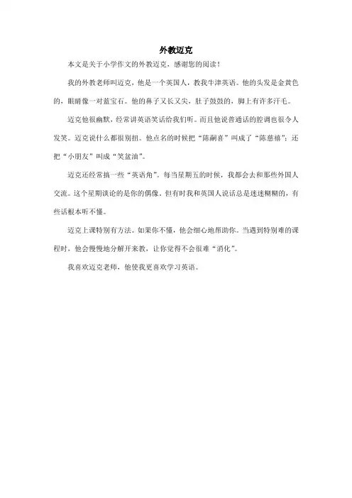 外教迈克_小学作文