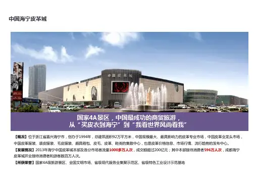 海宁皮革城案例