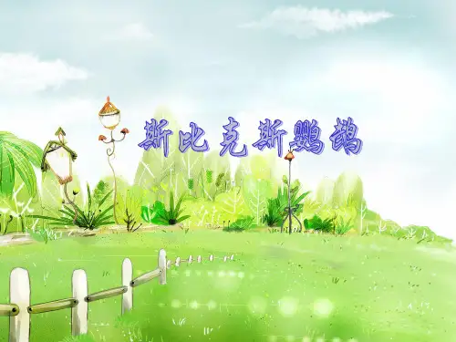 斯比克斯鹦鹉