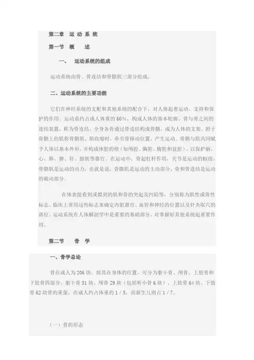 系统解剖 运 动 系 统