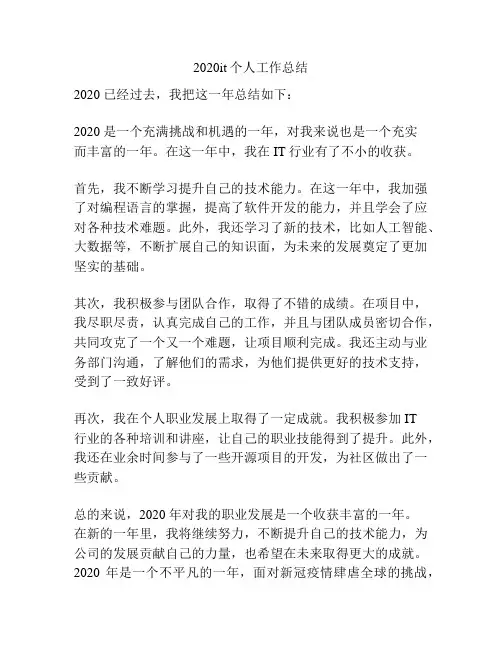 2020it个人工作总结
