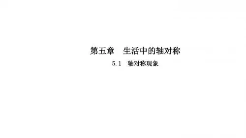 (北师大版)数学七年级下册课件：5.1轴对称现象