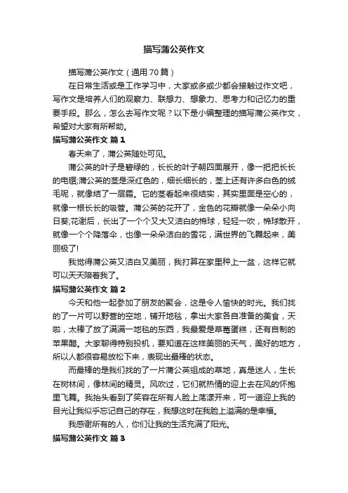 描写蒲公英作文（通用70篇）