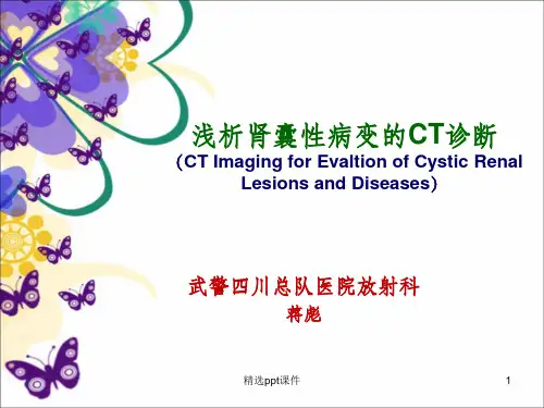 肾囊性病变CT诊断