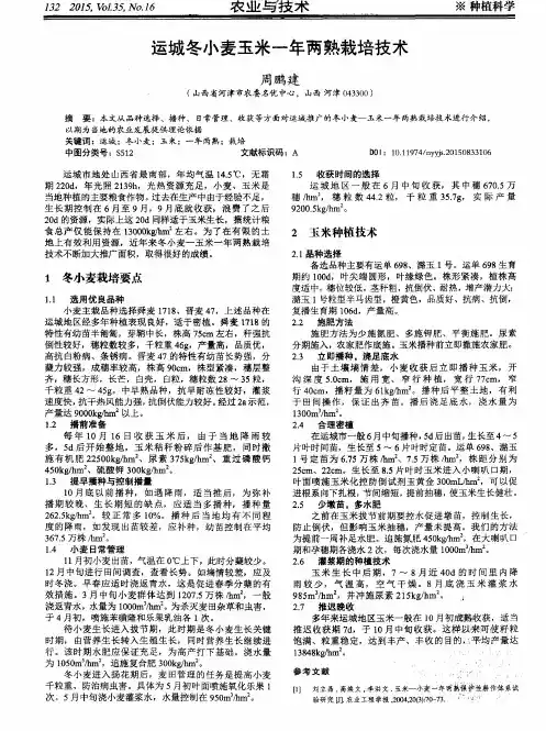 运城冬小麦玉米一年两熟栽培技术