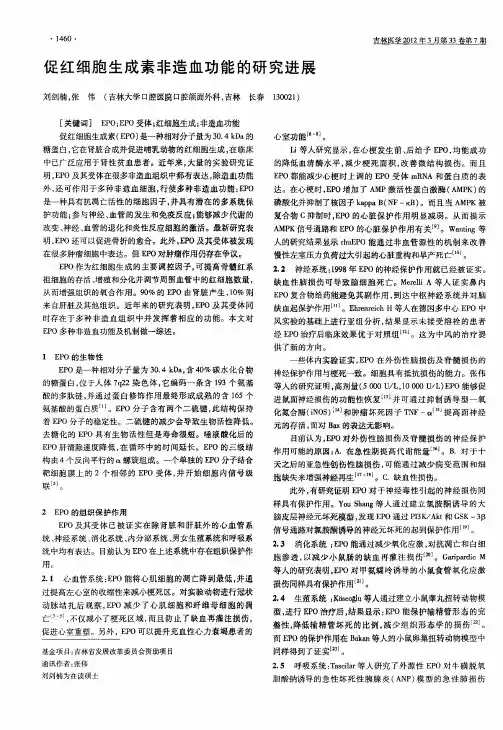 促红细胞生成素非造血功能的研究进展