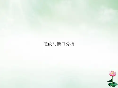 裂纹与断口分析ppt课件