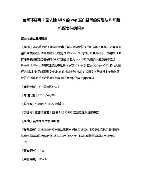 猪圆环病毒2型去除NLS的cap蛋白基因的克隆与B细胞抗原表位的预测