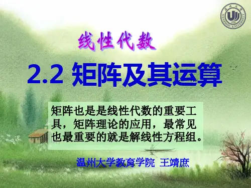 高数 矩阵的概念及运算