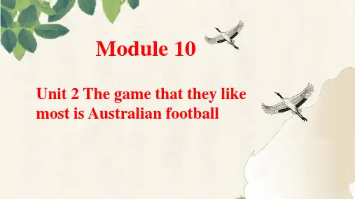 Module 10 Unit 2(课件)-九年级英语上册(外研版)