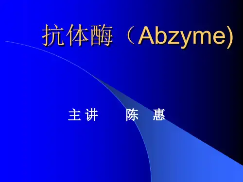 抗体酶(Abzyme)