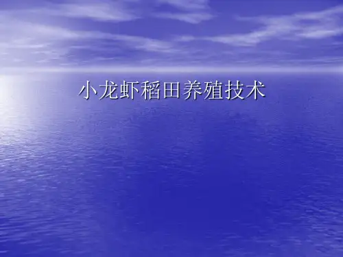 小龙虾稻田养殖技术上课讲义