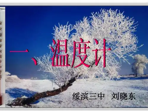 4.1温度计(人教版八年级上册)