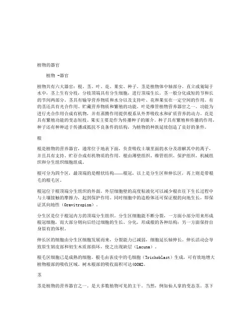 植物的器官