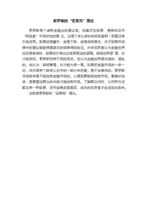 索罗斯的“坚果壳”理论