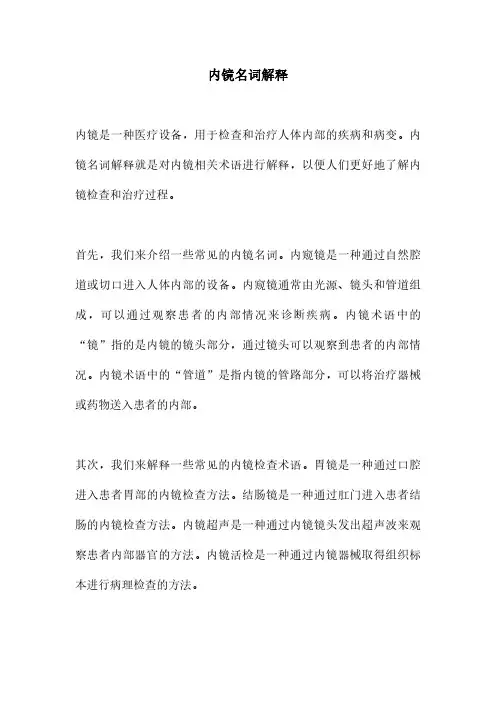 内镜名词解释