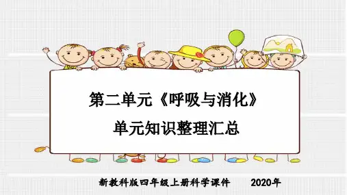 新教科版四年级上册科学第二单元《呼吸与消化》单元知识整理汇总课件