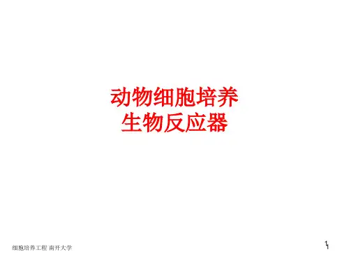 细胞培养工程 06 细胞培养生物反应器(II)