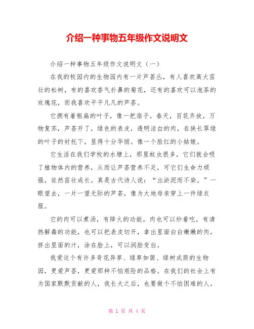 介绍一种事物五年级作文说明文