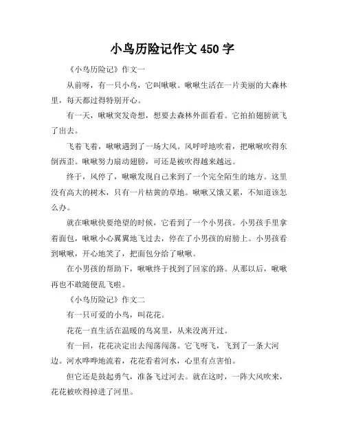 小鸟历险记作文450字